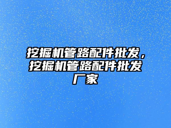 挖掘機管路配件批發(fā)，挖掘機管路配件批發(fā)廠家