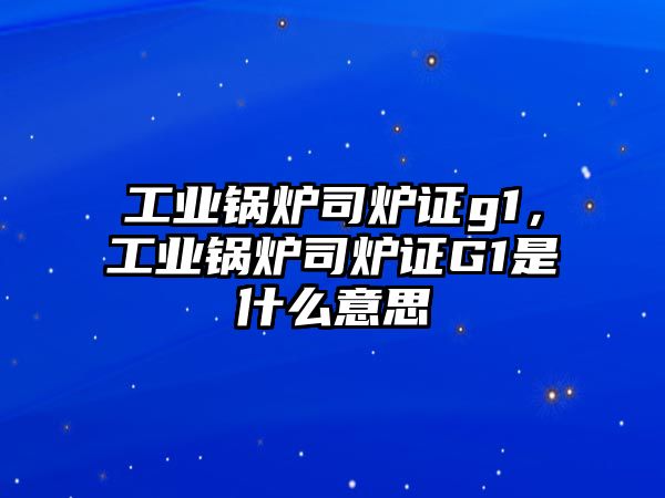 工業(yè)鍋爐司爐證g1，工業(yè)鍋爐司爐證G1是什么意思