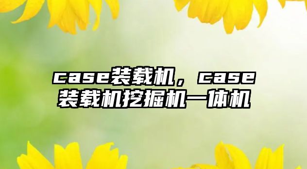 case裝載機，case裝載機挖掘機一體機