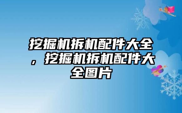 挖掘機拆機配件大全，挖掘機拆機配件大全圖片