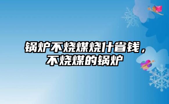 鍋爐不燒煤燒什省錢，不燒煤的鍋爐