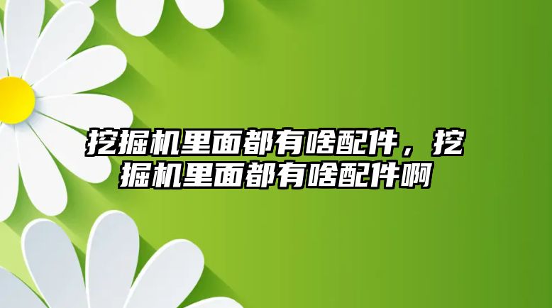 挖掘機(jī)里面都有啥配件，挖掘機(jī)里面都有啥配件啊