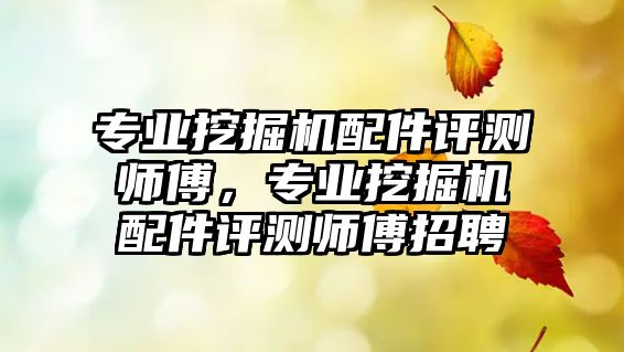 專業(yè)挖掘機配件評測師傅，專業(yè)挖掘機配件評測師傅招聘