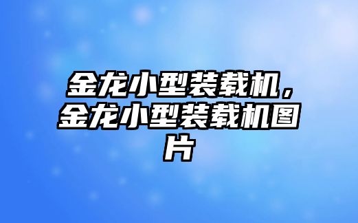 金龍小型裝載機(jī)，金龍小型裝載機(jī)圖片