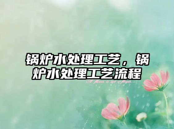 鍋爐水處理工藝，鍋爐水處理工藝流程