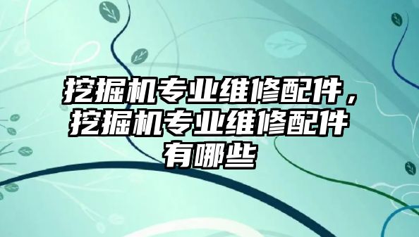 挖掘機專業(yè)維修配件，挖掘機專業(yè)維修配件有哪些