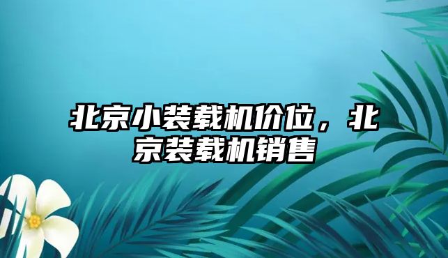 北京小裝載機(jī)價(jià)位，北京裝載機(jī)銷售