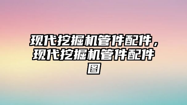 現(xiàn)代挖掘機(jī)管件配件，現(xiàn)代挖掘機(jī)管件配件圖