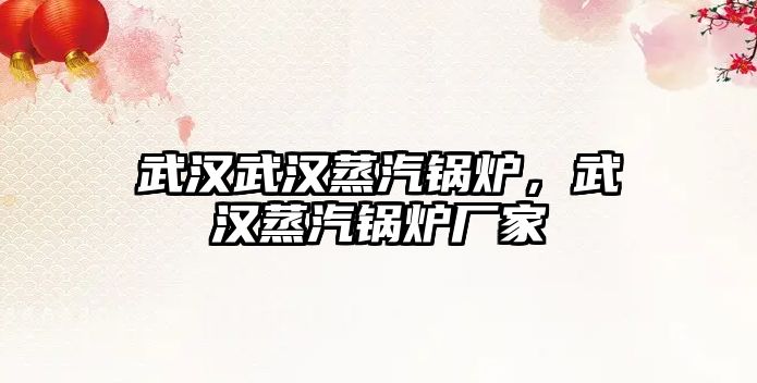 武漢武漢蒸汽鍋爐，武漢蒸汽鍋爐廠家