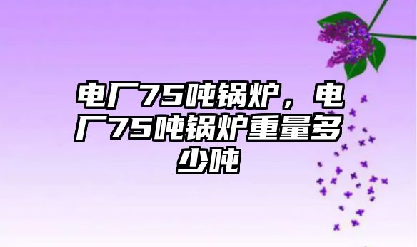 電廠75噸鍋爐，電廠75噸鍋爐重量多少噸