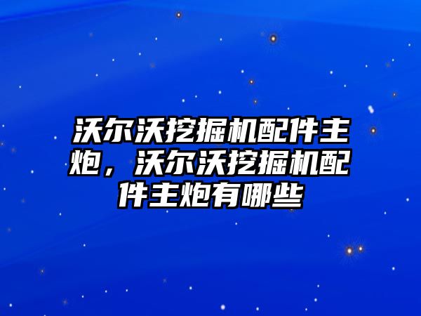 沃爾沃挖掘機(jī)配件主炮，沃爾沃挖掘機(jī)配件主炮有哪些