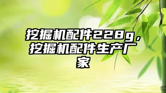 挖掘機配件228g，挖掘機配件生產(chǎn)廠家