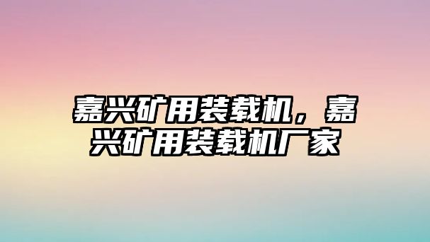 嘉興礦用裝載機，嘉興礦用裝載機廠家