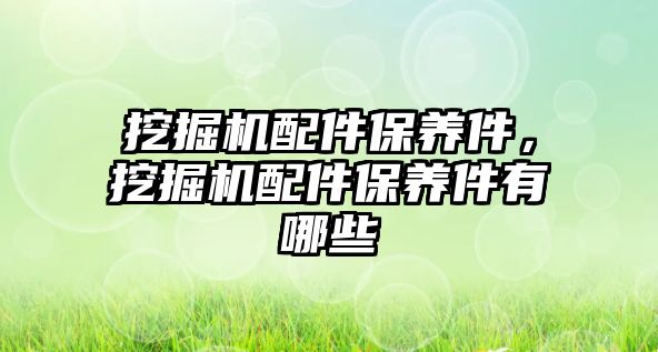 挖掘機配件保養(yǎng)件，挖掘機配件保養(yǎng)件有哪些