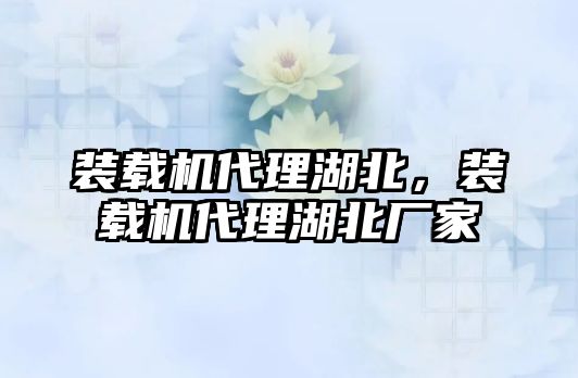 裝載機(jī)代理湖北，裝載機(jī)代理湖北廠家