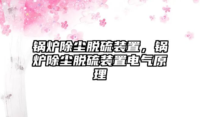 鍋爐除塵脫硫裝置，鍋爐除塵脫硫裝置電氣原理