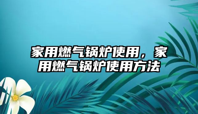 家用燃?xì)忮仩t使用，家用燃?xì)忮仩t使用方法