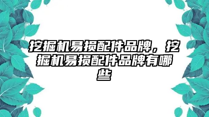 挖掘機(jī)易損配件品牌，挖掘機(jī)易損配件品牌有哪些