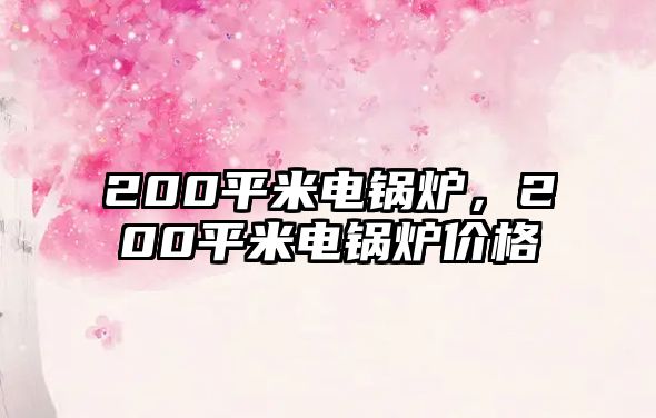 200平米電鍋爐，200平米電鍋爐價(jià)格