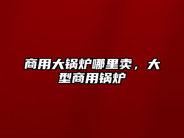 商用大鍋爐哪里賣，大型商用鍋爐