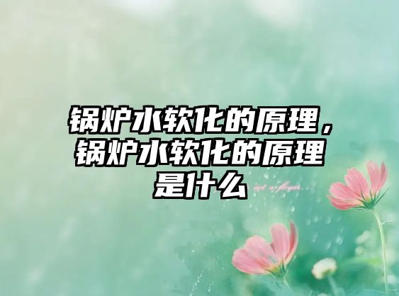 鍋爐水軟化的原理，鍋爐水軟化的原理是什么