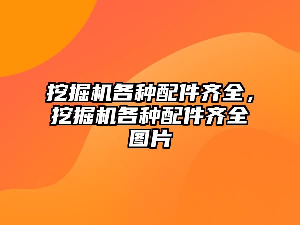 挖掘機各種配件齊全，挖掘機各種配件齊全圖片