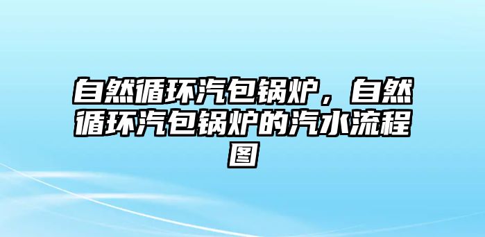 自然循環(huán)汽包鍋爐，自然循環(huán)汽包鍋爐的汽水流程圖