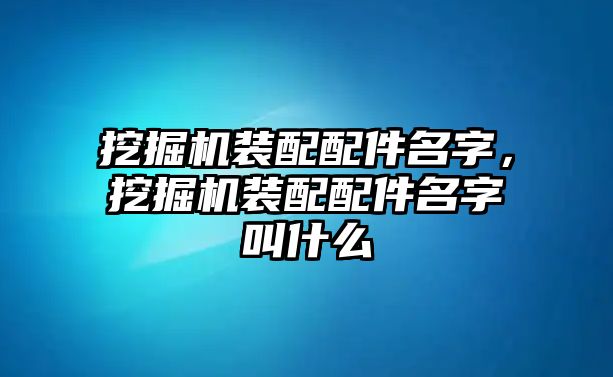 挖掘機(jī)裝配配件名字，挖掘機(jī)裝配配件名字叫什么