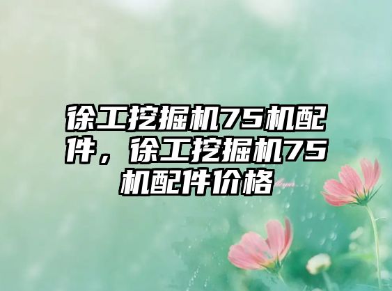 徐工挖掘機75機配件，徐工挖掘機75機配件價格