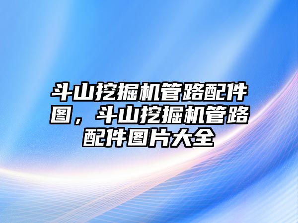 斗山挖掘機(jī)管路配件圖，斗山挖掘機(jī)管路配件圖片大全