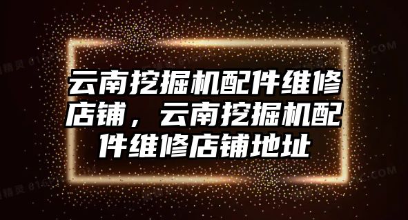 云南挖掘機(jī)配件維修店鋪，云南挖掘機(jī)配件維修店鋪地址