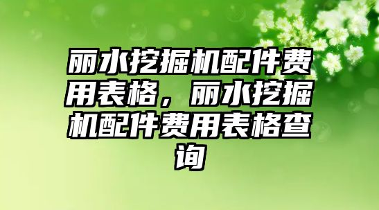 麗水挖掘機配件費用表格，麗水挖掘機配件費用表格查詢