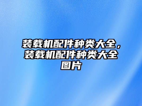 裝載機配件種類大全，裝載機配件種類大全圖片