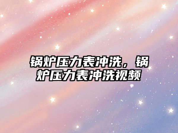 鍋爐壓力表沖洗，鍋爐壓力表沖洗視頻