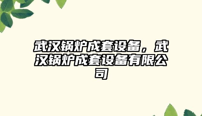 武漢鍋爐成套設(shè)備，武漢鍋爐成套設(shè)備有限公司