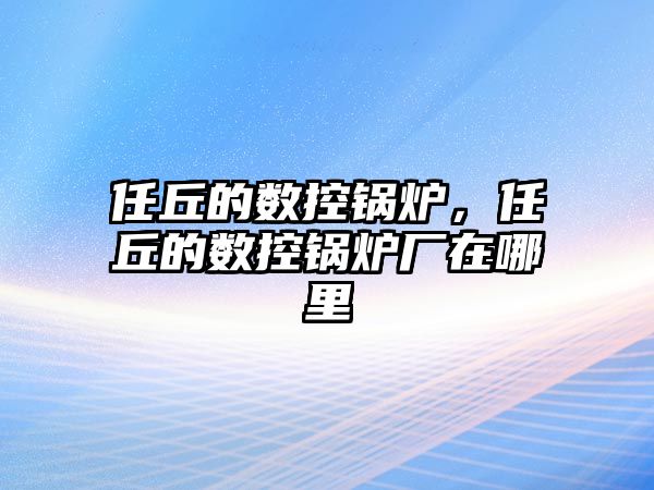 任丘的數(shù)控鍋爐，任丘的數(shù)控鍋爐廠在哪里