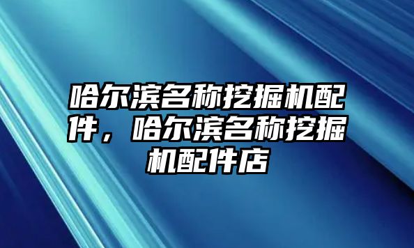 哈爾濱名稱挖掘機配件，哈爾濱名稱挖掘機配件店