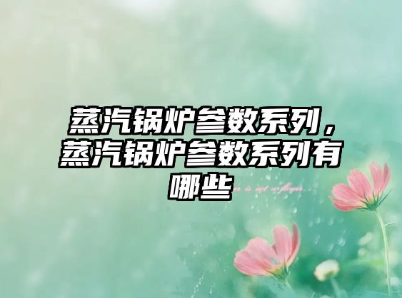 蒸汽鍋爐參數(shù)系列，蒸汽鍋爐參數(shù)系列有哪些