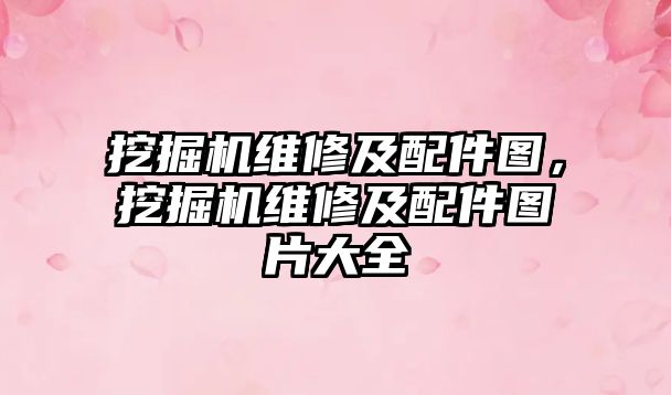 挖掘機維修及配件圖，挖掘機維修及配件圖片大全