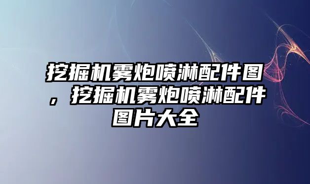 挖掘機霧炮噴淋配件圖，挖掘機霧炮噴淋配件圖片大全