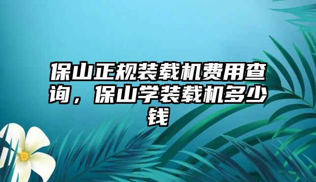 保山正規(guī)裝載機費用查詢，保山學(xué)裝載機多少錢