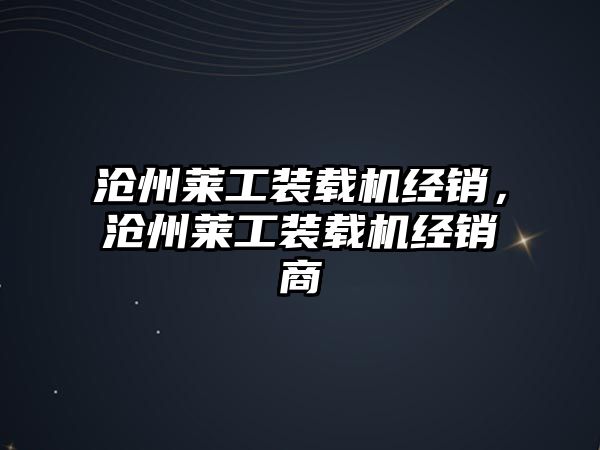 滄州萊工裝載機經(jīng)銷，滄州萊工裝載機經(jīng)銷商