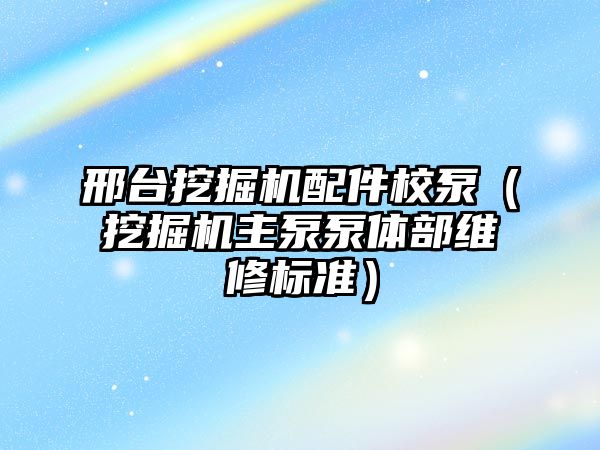 邢臺挖掘機配件校泵（挖掘機主泵泵體部維修標準）