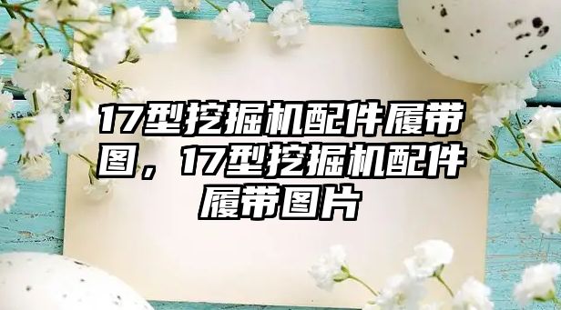 17型挖掘機(jī)配件履帶圖，17型挖掘機(jī)配件履帶圖片