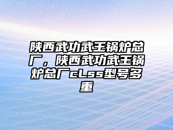 陜西武功武王鍋爐總廠，陜西武功武王鍋爐總廠cLss型號多重