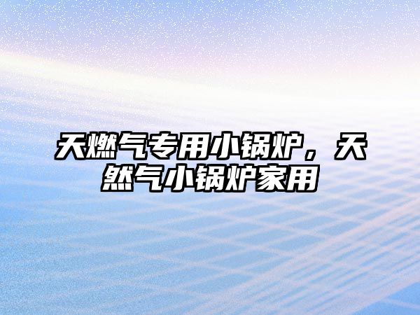 天燃?xì)鈱Ｓ眯″仩t，天然氣小鍋爐家用