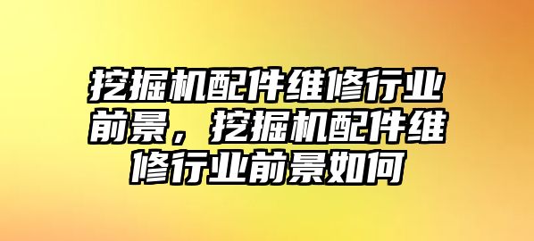 挖掘機(jī)配件維修行業(yè)前景，挖掘機(jī)配件維修行業(yè)前景如何