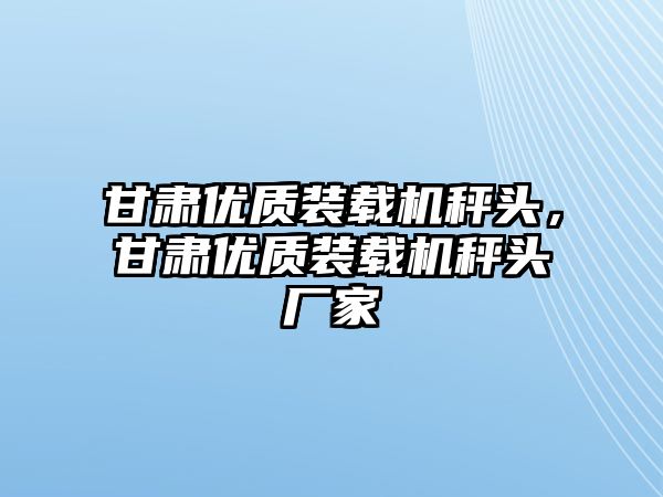 甘肅優(yōu)質(zhì)裝載機秤頭，甘肅優(yōu)質(zhì)裝載機秤頭廠家