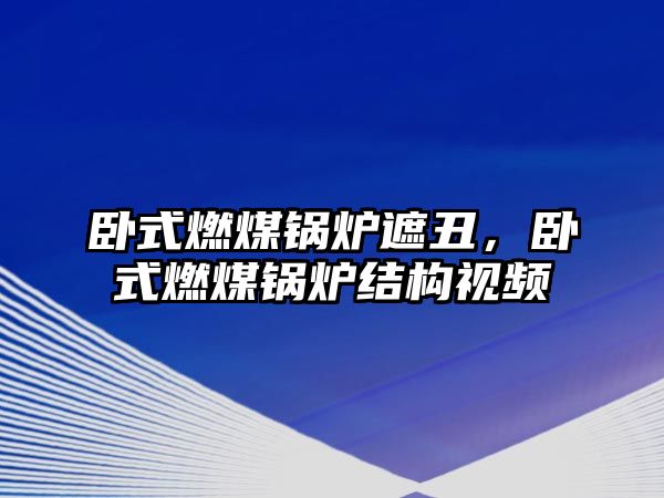 臥式燃煤鍋爐遮丑，臥式燃煤鍋爐結(jié)構(gòu)視頻