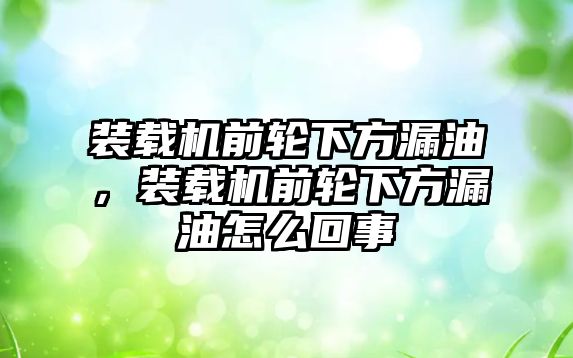 裝載機前輪下方漏油，裝載機前輪下方漏油怎么回事